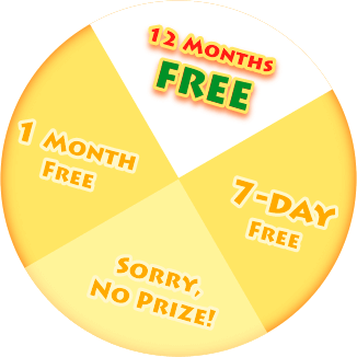 12 Months FREE